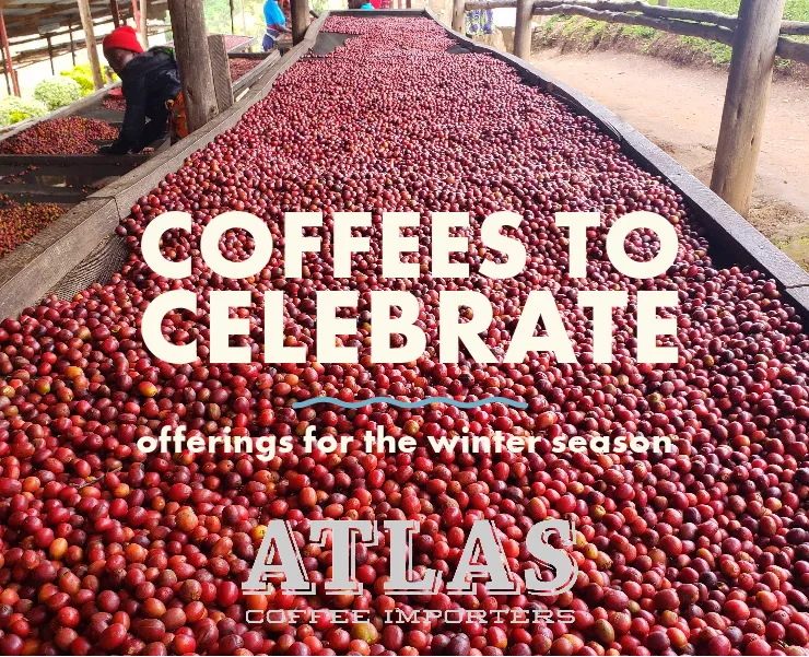banner advertising atlas coffee importers holiday coffee recommendations